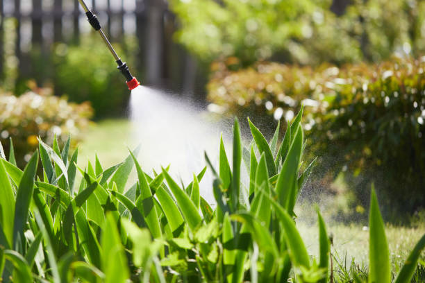 24/7 Emergency Wasp Removal experts in Salem, AR