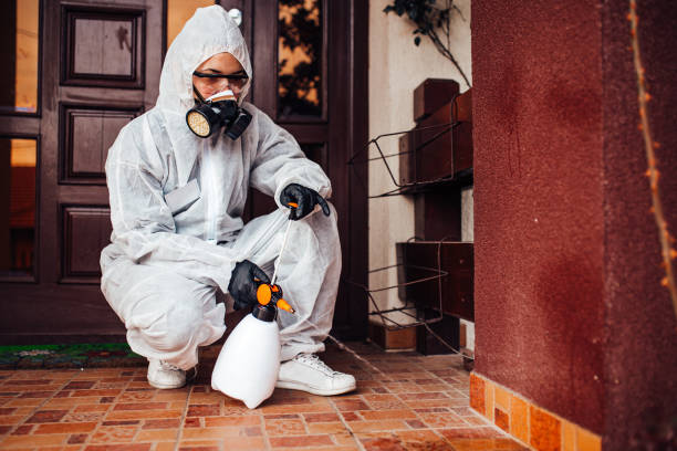 Reliable Wasp Removal contractor in Salem, AR by Show Me Pest Control